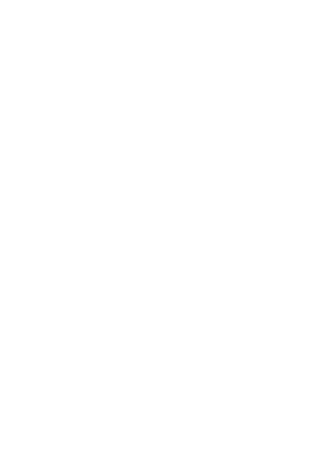 Leiders Inzicht Logo